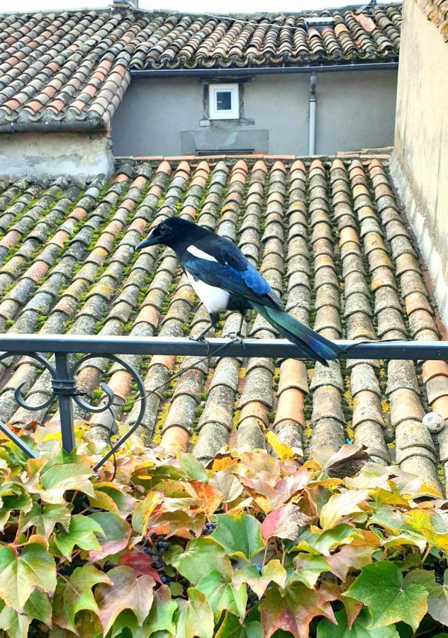 Maison De Maitre A Bram # Jacuzzi Buitenkant foto
